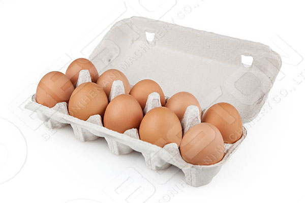 Paper Egg Carton